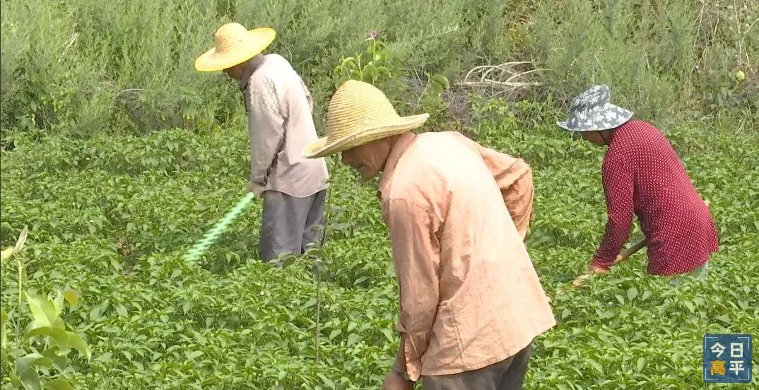 山西凱永養(yǎng)殖最新進展概況