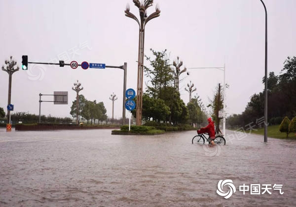 什邡大暴雨侵襲，城市動(dòng)態(tài)及應(yīng)對(duì)策略最新報(bào)道